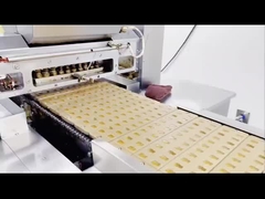 Private Label Extra Strength Tongkat Ali Supplement Capsules For Men